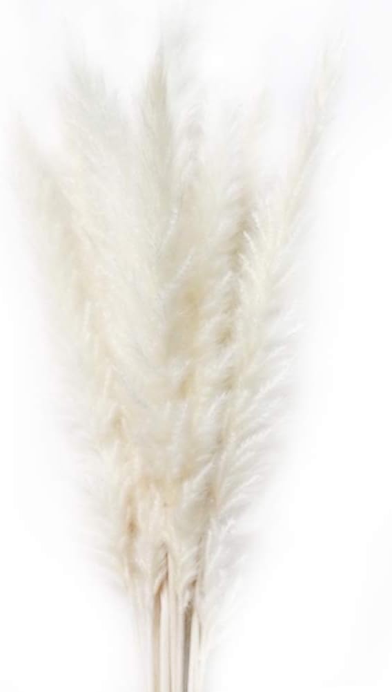 Zchui Dried Pampas Grass, 15 Pcs Phragmites, Natural Bulrush Bunch, Wedding Flower Bunch, Reed Bouquets, Home Decor, Colorful Durable