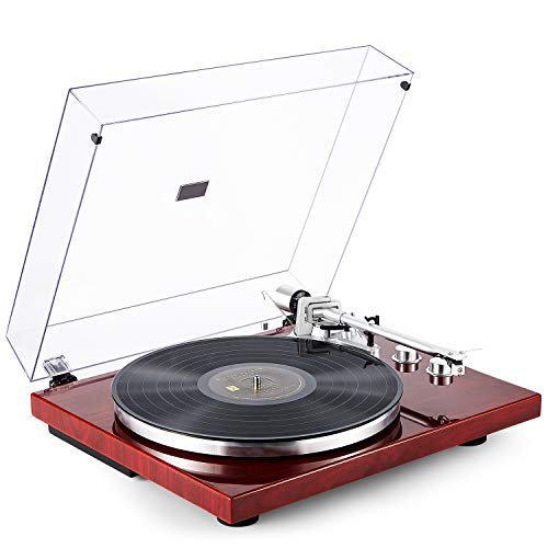 1byone turntable