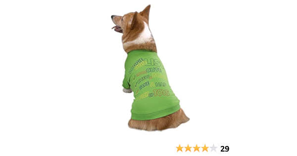 doggie doo amazon