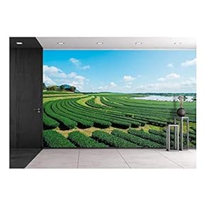 Tea Plantation with Blue Sky and Cloud. - Removable Wall Mural | Self-Adhesive Large Wallpaper - 66x96 inches