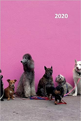 puppies for sale under $200 near me