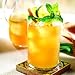 Basilur | Jasmine Tea & Ceylon Green Tea, | Two Layered Designer Caddy | 100% Pure Ceylon Single Origin Tea