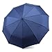 RAINYGO Umbrellas Travel Folding Automatic Umbrella Strong Windproof Compact 210T 10 Ribs Light Weight Auto Open Close