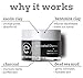 Eve Hansen Activated Charcoal Bentonite Clay Face Mask | Detoxifying Charcoal Mask with Dead Sea Mud | Kaolin Clay Blackhead Remover Mask, Acne Scar Treatment and Pore Minimizer Facial Mask | 1.7 oz