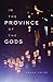 In the Province of the Gods (Living Out: Gay and Lesbian Autobiog) by 