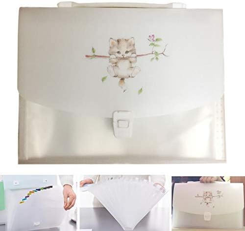 Portable Folder Expanding File 13 Pockets Accordian Organizer A4 Letter Size with 12 tabs for School Students