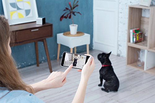 Petcube First Generation Camera for Pets with HD 720p Video, Wi-Fi and Two-Way Audio - Thumbnail 7