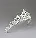 Butterfly Craze Women Bridal Princess Tiara Crown with Comb for Weddings Parties Special Occasion