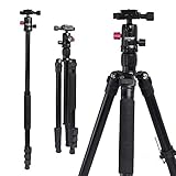 Camera Tripod, ZOMEI 62.5” Lightweight Alluminum Alloy Monopod with 360 Degree Ball Head, Quick Release Plate and Carrying Bag for Canon, Nikon, Samsung, Phone, Camcorder, Projector(Black)