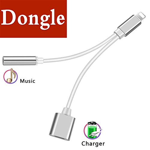 Headphone Jack Adapter Dongle for iPhone Xs/Xs Max/XR/8/8 Plus/X (10) /7/7 Plus Adapter to 3.5mm Jack Converter Car Charger Accessories Cables Audio Connector 2 in 1 Earphone Splitter Adaptor – Sliver