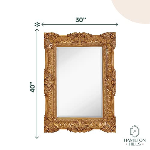 Hamilton Hills 30x40 inch Large Ornate Gold Framed Rectangular Baroque
