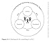Amplify Your Impact: Coaching Collaborative Teams in PLCs (Instructional Leadership Development and Coaching Methods for Collaborative Learning) (Solutions)