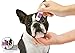 The Blissful Dog Boston Terrier Nose Butter, 0.15-Ounce