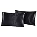 Hotel Quality Black Duvet Cover Set King Size Silk Like Satin Bedding with Hidden Zipper Ties Soft Comfortable Hypoallergenic Stain Resistant Solid Quilt / Comforter Cover Set by Lucky lover