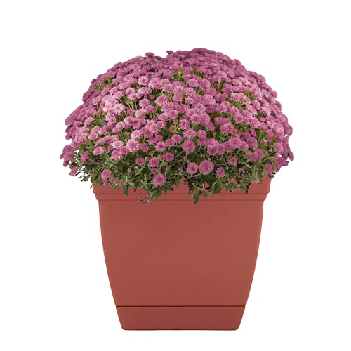 The HC Companies 10 Inch Eclipse Square Planter with Saucer Indoor