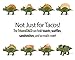 California Home Goods Triceratops Dinosaur Taco Holder 2 Pack - Prehistoric Taco Stand for Jurassic Taco Tuesday and Dinosaur Parties - Holds 2 Tacos - The Perfect Gift for Kids & Adult Taco Lovers