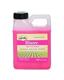 Sanco Industries Blazer Spray Tank Cleaner, 16 Ounce