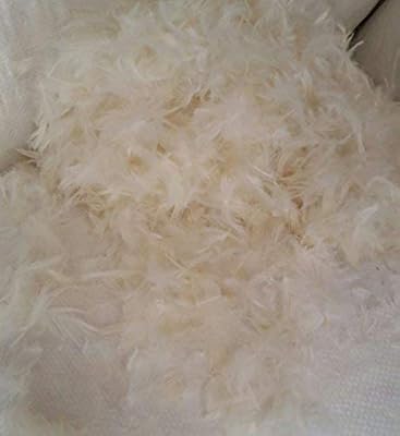 Amazon Com East Coast Bedding 50 50 Goose Down Feather Stuffing