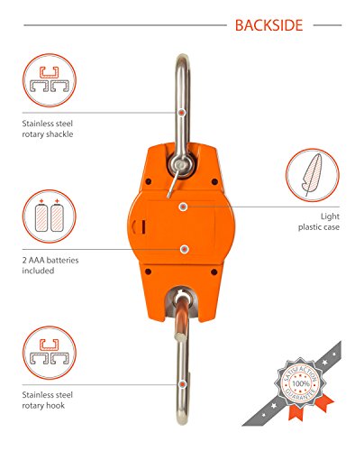 3 Hanging+Hunting+Accurate+Digital+Professional