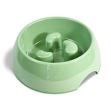 Martha Stewart Slow Feeder Pet Bowl Green 5 75 Fl Oz Amazon
