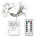DecorNova Globe String Lights, 13 Feet 30 LEDs Ball String Fairy Light with 3AA Battery Box and Remove Controller, Warm White