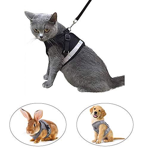 Kamots Beauty Escape Proof Cat Harness and Leash for Walking Adjustable Soft Mesh Pet Vest with Lead for Kitten Puppy Rabbit -(Black,M)