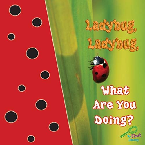 Ladybug, Ladybug, What Are You Doing? (My First Science Discovery Library)