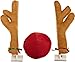 Mystic Industries Reindeer, Pumpkin and Easter Bunny Three Seasons Vehicle Costumes, (Pack of 3)