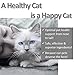 Vet Worthy L-Lysine Soft Chews for Cats - Cat Supplement to Support the Immune System and Overall Health - Cat Vitamins with 250 mg L-Lysine per soft chew - Chicken Liver Flavor Soft Chews, 3.17oz