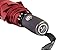 Compact Folding Windproof Automatic Umbrella With Zipper Case For Women/Ladies (Burgundy)