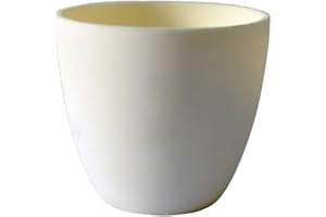 OTOOLWORLD 99.3% Alumina Crucible Al2O3 Aluminum Oxide Crucible Assay Crucible for Lab Laboratory (40ml)