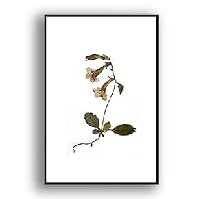 Framed Canvas Wall Art for Living Room, Bedroom Leaves Canvas Prints for Modern Home Decoration Ready to Hang - 16"x24" inches