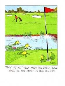 Humorous Blank/Birthday Greeting Card (1318) Golf Danger