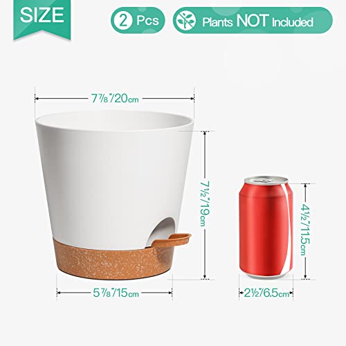 T4U 8 Inch Plastic Plant Pots - Indoor Self Watering Planter Flower Pot ...