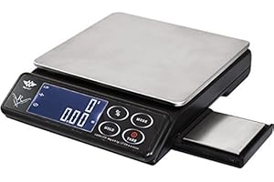 The Maestro Scale - 8000g x 1 g with AC Adapter