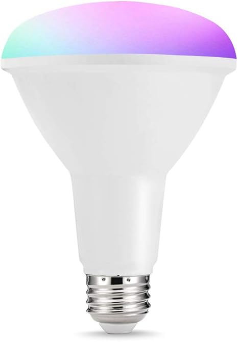 alexa compatible flood lights