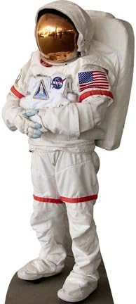 SP12115 Male Indian Cardboard Cut Out