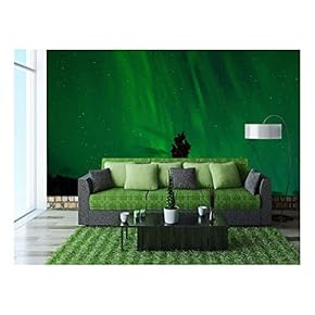 Beautiful View of Green Aurora - Removable Wall Mural | Self-Adhesive Large Wallpaper - 66x96 inches