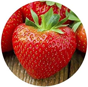 Padgett Bros Peculiar Strawberry Kit Multi 82015 - Image 5