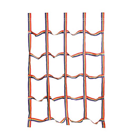 letsgood Colorful Climbing Cargo Net, Outdoor Backyard Play Sets & Playground Equipment for Jungle Gyms, Swing Set…