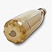 S'well Vacuum Insulated Stainless Steel Water Bottle, 17 oz, Yellow Gold