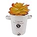 Greatflower Pack of 4 Single Artificial Succulent in different colors 4
