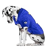 Littlearth NFL Los Angeles Rams - New Logo Stretch