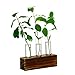 Ivolador Propagation Test Tube Station 3 Glass Test Tube Vase Plants Terrariums for Hydroponic Plants Home Garden Decoration - 3 Test Tube