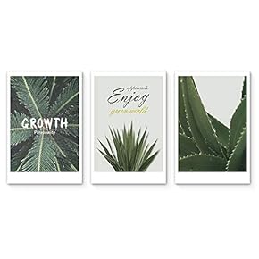 3 Panel Canvas Wall ArtGreen Aloe Modern Home Decor Canvas Painting Wall Decoration for Bedroom Living Room 16"x24" x 3 Panels