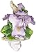 Cosmos 2130 Fine Porcelain Lighted Iris Night Light, 3-1/8-Inch