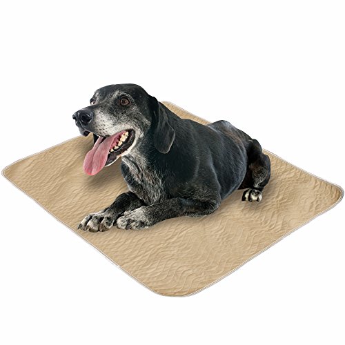 Hiyapup Washable Pee Pads for Dogs, 2Pack, Large (36”x42”), Premium