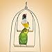 Balacoo Bird Standing Swing Toy Portable Parrot Wood Perch Playground Training Parrot Stand for Parakeets, Cockatiels,Guinea Pig (Size L)thumb 4