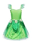 ReliBeauty Girls Tinkerbell Dress Costume (2T-3T, Green)