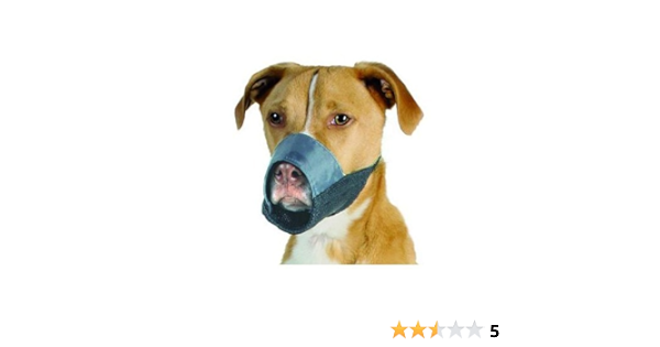 muzzle for pitbull petco